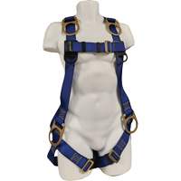 ECO Safety Harness, CSA Certified, Class AEP, 352 lbs. Cap. Northern Industrial Supply Inc.