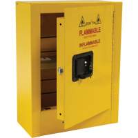 Mini Flammable Safety Cabinet, 2 Gal., 1 Door, 17" W x 22" H x 8" D Northern Industrial Supply Inc.