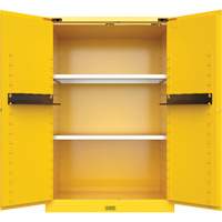 Armoire de s&eacute;curit&eacute; pour produits inflammables Utili-Guard+, 45 gal., 2 Porte(s), 43" La x 65" h x 22" p Northern Industrial Supply Inc.