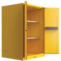 Armoire de s&eacute;curit&eacute; pour produits inflammables Utili-Guard+, 45 gal., 2 Porte(s), 43" La x 65" h x 22" p Northern Industrial Supply Inc.