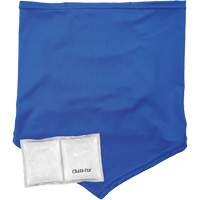 Cache-cou/bandana de refroidissement Chill-Its 6482 avec sachet r&eacute;frig&eacute;rant &agrave; changement de phase r&eacute;utilisable, petit/moyen, Bleu Northern Industrial Supply Inc.