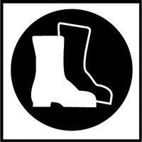 &eacute;tiquettes avec pictogramme Right to Know - Bottes, Vinyle, Feuille, 5/8" lo x 3/4" la Northern Industrial Supply Inc.