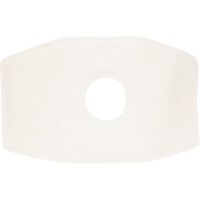 North&reg; Replacement Filter, Particulate Filter, N99 Filter Northern Industrial Supply Inc.