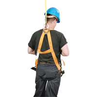 Miller&reg; Titan Contractor's Harnesses, CSA Certified, Class AP, 400 lbs. Cap. Northern Industrial Supply Inc.