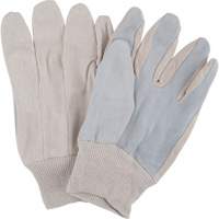 Gants de travail d'usage standard, Grand, Paume en Cuir de vache refendu Northern Industrial Supply Inc.