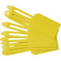 &eacute;tiquettes de cadenassage vierges en plastique, Plastique, 3-1/4" la x 5-4/5" h, Vierge Northern Industrial Supply Inc.