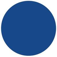 Round Write-On Labels, Circle, 1.5" L x 1.5" W, Blue Northern Industrial Supply Inc.