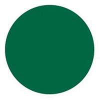 Round Write-On Labels, Circle, 1.5" L x 1.5" W, Green Northern Industrial Supply Inc.