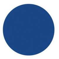 Round Write-On Labels, Circle, 3" L x 3" W, Blue Northern Industrial Supply Inc.