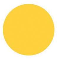 Round Write-On Labels, Circle, 3" L x 3" W, Yellow Northern Industrial Supply Inc.