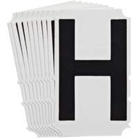 Quick-Align&reg;Individual Gothic Number and Letter Labels, H, 4" H, Black Northern Industrial Supply Inc.