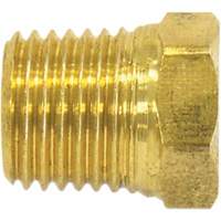 Bouchon de tuyau (t&ecirc;te hexagonale), 1/8" dia., Laiton Northern Industrial Supply Inc.