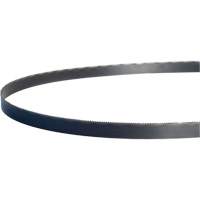 Band Saw Blades