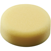 Polishing Pad, 3" Dia. Northern Industrial Supply Inc.