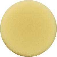 Polishing Pad, 3" Dia. Northern Industrial Supply Inc.