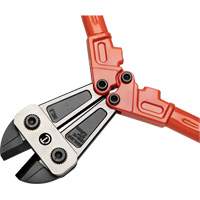 High Leverage Compound Bolt Cutter, 36" L, Center Cut Northern Industrial Supply Inc.