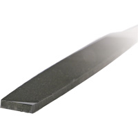 Lime d'usinage, Plat, 6", B&acirc;tarde Northern Industrial Supply Inc.