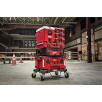 Glaci&egrave;re compacte Packout, 16 pintes Capacit&eacute; Northern Industrial Supply Inc.