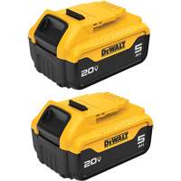 Bloc-piles Max XR Premium, Lithium-ion, 20 V, 5 A Northern Industrial Supply Inc.