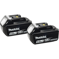 Blocs-piles, Lithium-ion, 18 V, 5,0 A Northern Industrial Supply Inc.