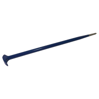 Rolling Head Pry Bar, 11/16" W x 20" L Northern Industrial Supply Inc.