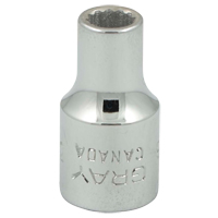 Socket, 3/16", 1/4" Drive, 12 Points Northern Industrial Supply Inc.