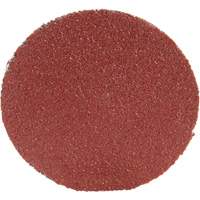 Disque 361F Roloc, 1-1/2" dia., Grain P100, Oxyde d'aluminium Northern Industrial Supply Inc.