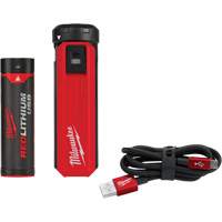 Trousse d'alimentation et de chargeur USB Redlithium, 4 V, Lithium-ion Northern Industrial Supply Inc.