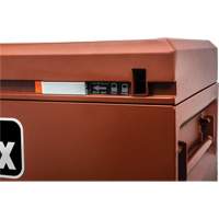 Armoire Site-Vault, 30" x 20" x 19-3/4", Acier, Orange Northern Industrial Supply Inc.
