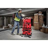 Coffre &agrave; outils compact Packout, 10" x 16-1/5" x 13", Noir/Rouge Northern Industrial Supply Inc.
