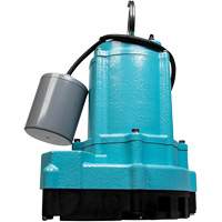 9EC Series Effluent Pump, 70 GPM, 115 V, 7.5 A, 4/10 HP Northern Industrial Supply Inc.
