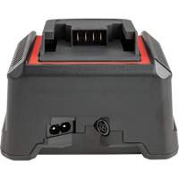 Chargeur de batterie 2,5 Ah et 5,0 Ah, 120 V, Lithium-ion Northern Industrial Supply Inc.