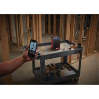 M12 Radio & Charger (Tool Only), Lithium-Ion, 12 V Northern Industrial Supply Inc.
