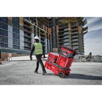 Coffre &agrave; outils roulant Packout, 15-4/5" x 34" x 28", Rouge Northern Industrial Supply Inc.