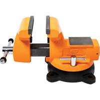 Mechanic's Bench Vise with Anvil, 6" Jaw Width Northern Industrial Supply Inc.
