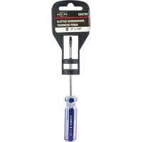 Blue Transparent Striped Slotted Screwdriver, 1/8" Tip, Round, Plastic Handle Northern Industrial Supply Inc.