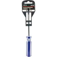 Blue Transparent Striped Slotted Screwdriver, 3/16" Tip, Round, Plastic Handle Northern Industrial Supply Inc.