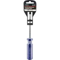 Blue Transparent Striped Slotted Screwdriver, 1/4" Tip, Round, Plastic Handle Northern Industrial Supply Inc.