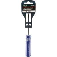 Tournevis Philips bleu transparent avec bandes, #1, Prise Plastique Northern Industrial Supply Inc.
