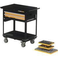 Mechanics Tool Set in Modular Foam Trays with Storage Unit, 194 Pieces Northern Industrial Supply Inc.