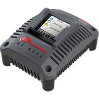 IQV20 Compact Battery Charger, 20 V, Lithium-Ion Northern Industrial Supply Inc.
