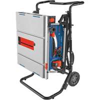 Jobsite Table Saw with Gravity-Rise Wheeled Stand, 120 V, 15 A, 3800 RPM Northern Industrial Supply Inc.