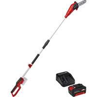 Cordless Pole Chain Saw with 4Ah Battery & Charger Starter Kit Northern Industrial Supply Inc.