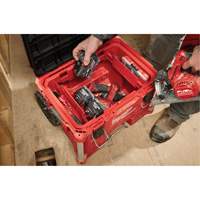 Plateau pour accessoires, pour boîtes &agrave; outils Packout Northern Industrial Supply Inc.