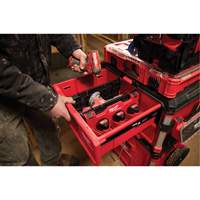 Diviseur pour boîtes &agrave; outils &agrave; tiroirs Packout Northern Industrial Supply Inc.