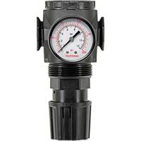 D&eacute;tendeur &agrave; diaphragme en zinc MODULAIR 300, 3/8" NPT, PSI max. de 300 psi, Canalisation/Modulaire Northern Industrial Supply Inc.