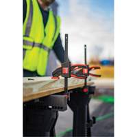 Medium Trigger Clamps Set, 12" (304.8 mm) Northern Industrial Supply Inc.