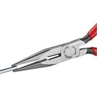 Long Nose Pliers with Cutter, 6-1/4" L Northern Industrial Supply Inc.