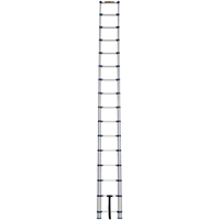 &eacute;chelle t&eacute;lescopique, 3' - 15,5', Aluminium, Capacit&eacute; de 250 lb, Type 1 Northern Industrial Supply Inc.