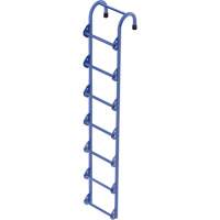 Access Ladder & Platforms